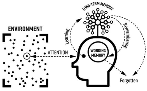 Information processing model